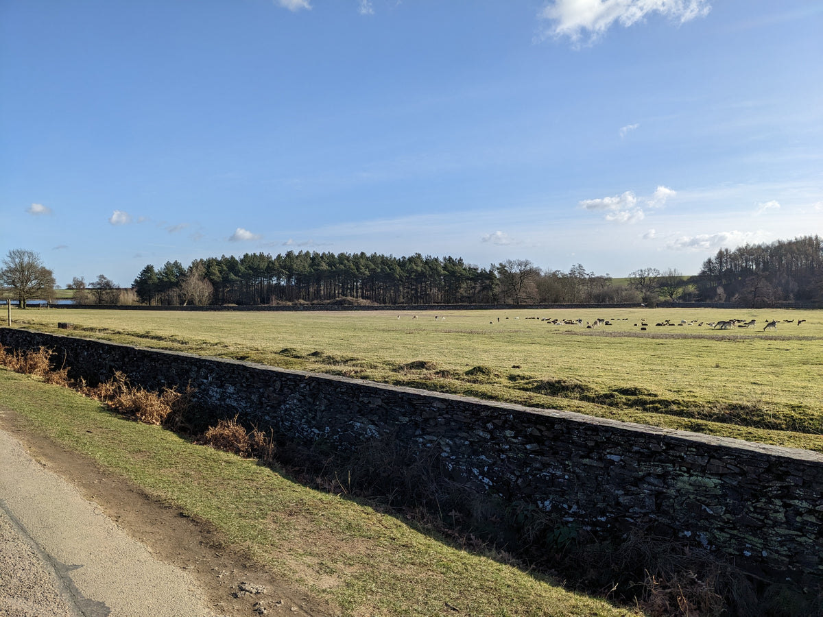 A mid week wander