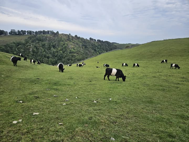 15 Miles, 7 Pubs, 8 Pints: Paul’s Peak District Adventure