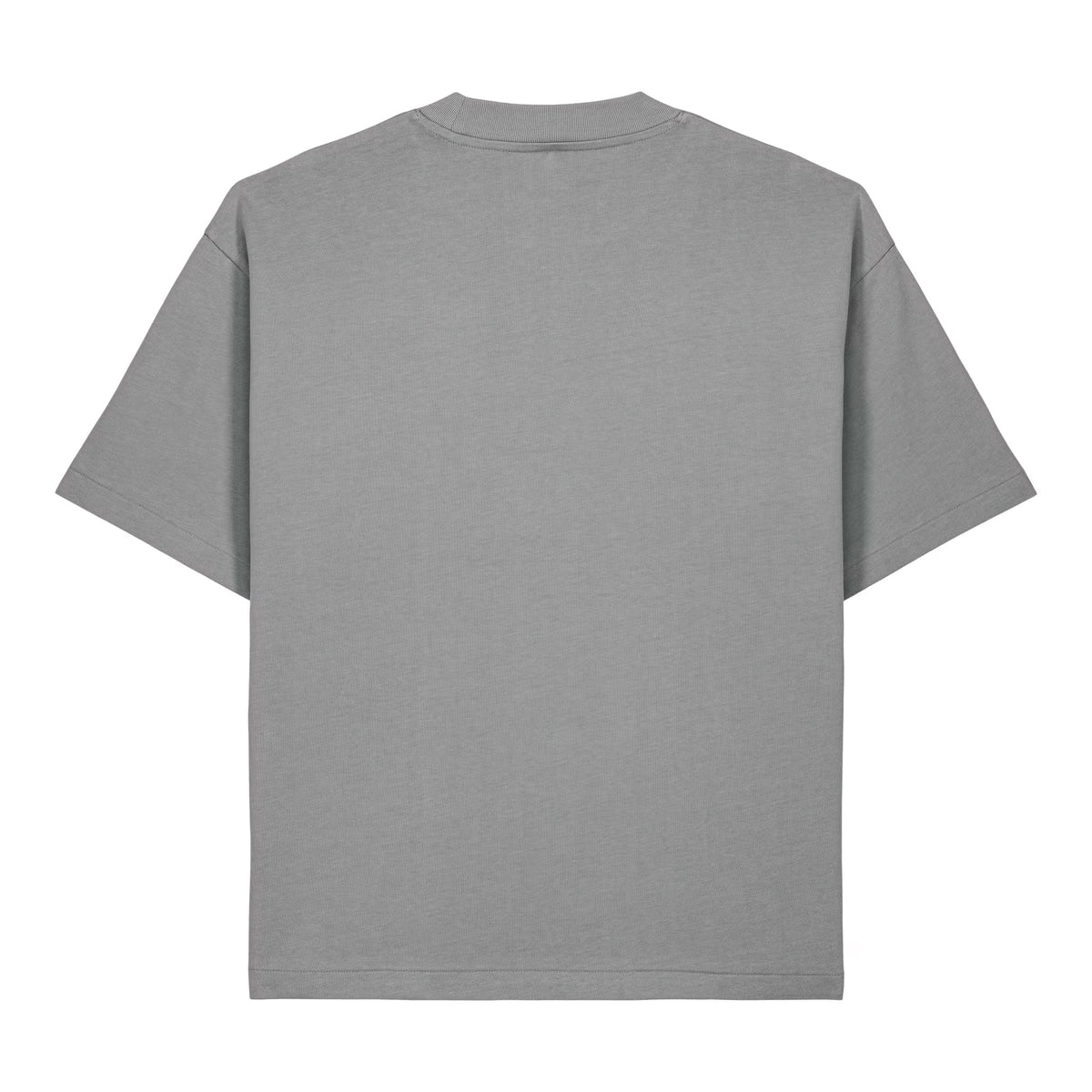 Sauce & Brown Haze oversized t-shirt in light grey – flat rear view