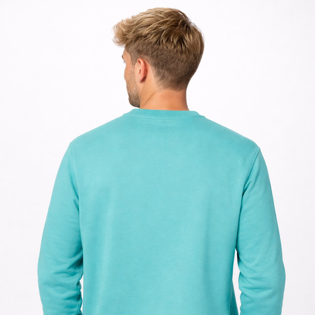 Male model wearing Sauce & Brown Pool sweatshirt, back view on white background